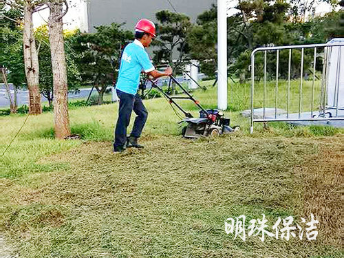 绿化养护2